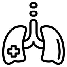 Lungs