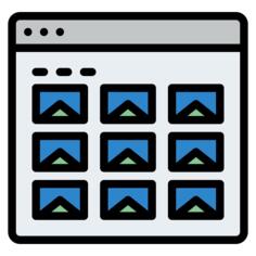 Website