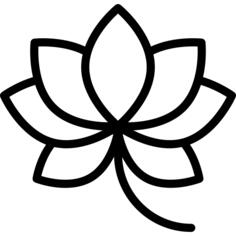 莲花