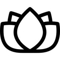莲花