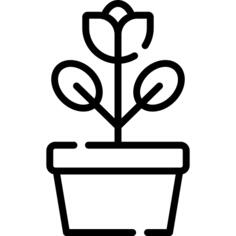 花盆