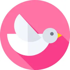 Dove