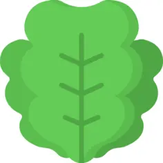 Lettuce