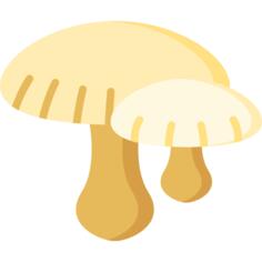 蘑菇