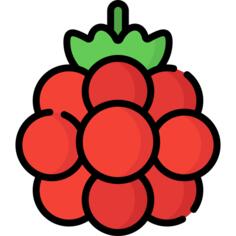 Raspberry