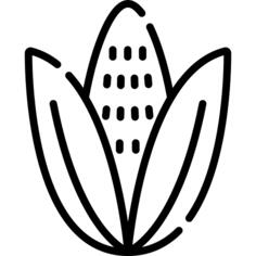 Corn