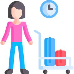 Traveller
