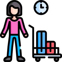 Traveller