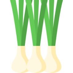 Spring onion