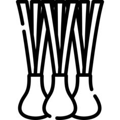 Spring onion