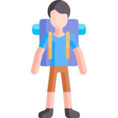 Traveller