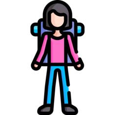 Traveller