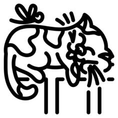 猫