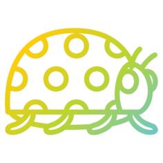 瓢虫