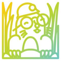 痣