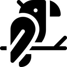鹦鹉