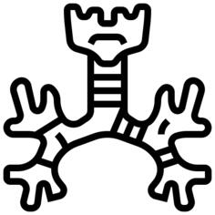 Bronchus