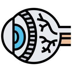 Eye