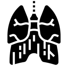 Diaphragm