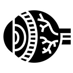 Eye