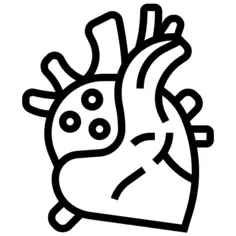Heart