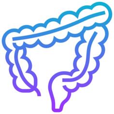 Large intestine