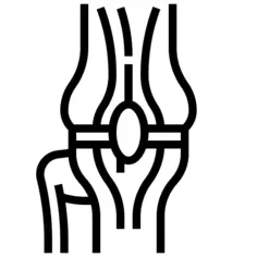 Knee joint