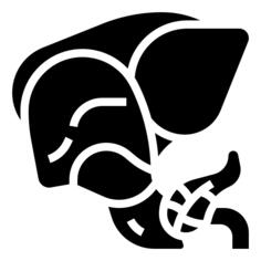 Liver organ
