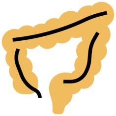 Large intestine