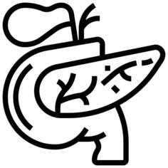 Pancreas