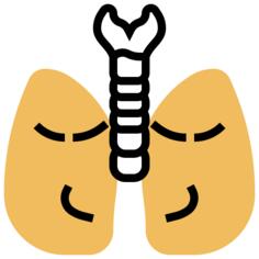 肺