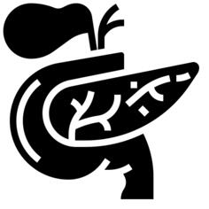 Pancreas
