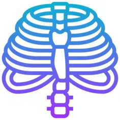 Thorax