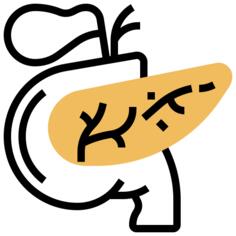 Pancreas