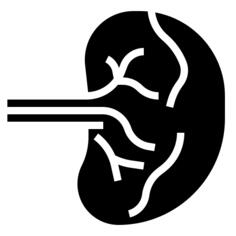 Spleen