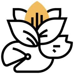 莲花