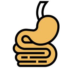胃
