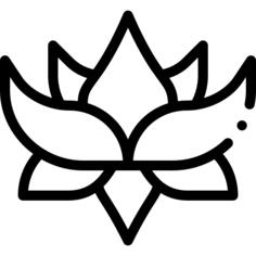 莲花