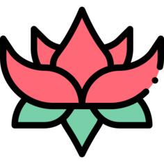 莲花