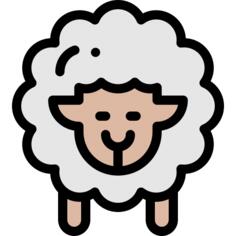 Sheep