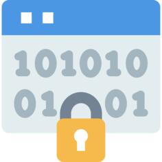 Encryption