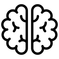 Brain