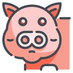 Pork
