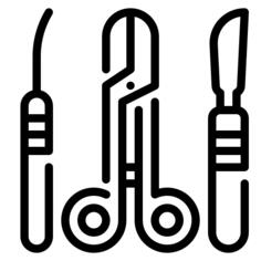 Dissection