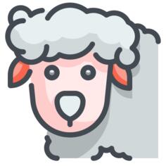 Sheep