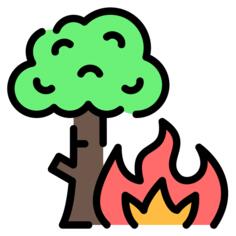 Wildfire