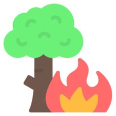 Wildfire