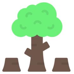 Deforestation