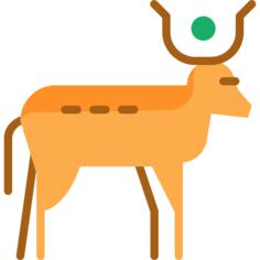 Cow
