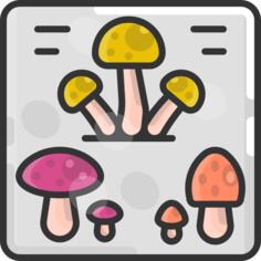 蘑菇